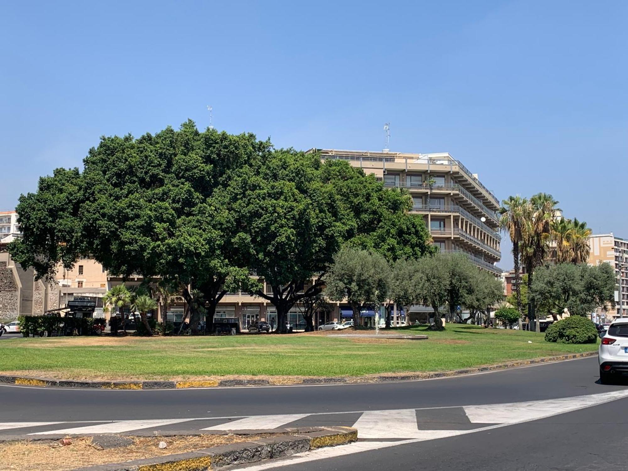 Serenityhomect Catania Ngoại thất bức ảnh